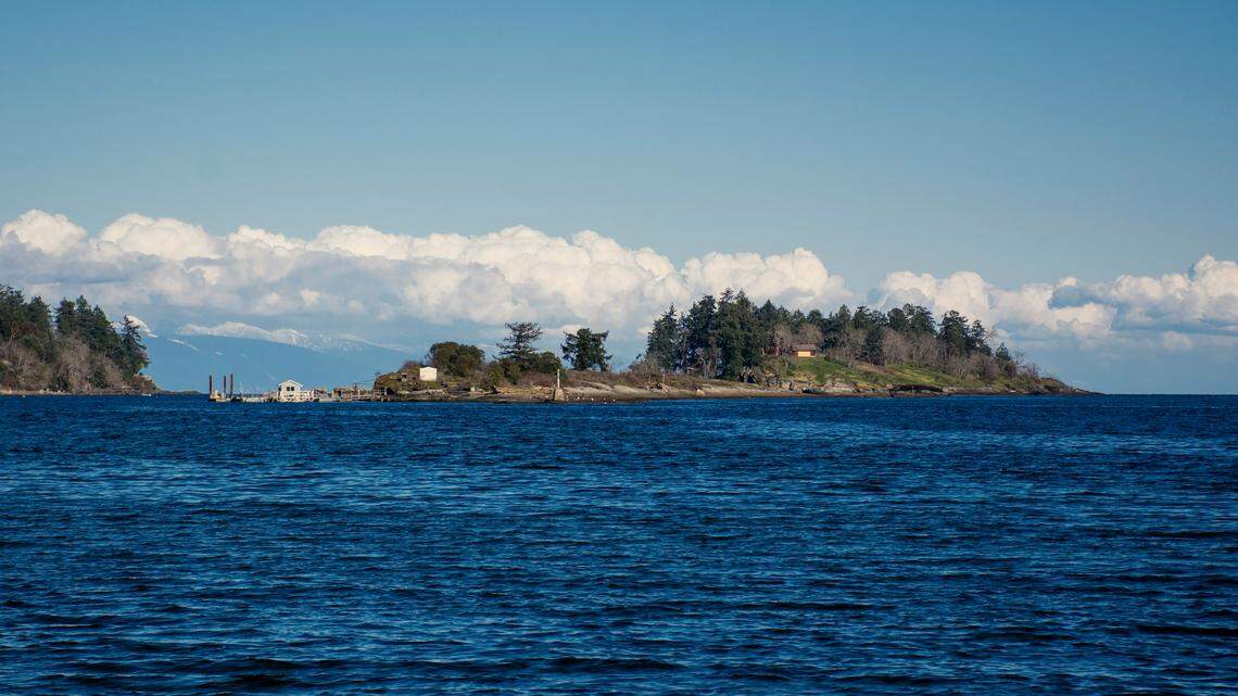 A Canadian fisherman has been sentenced to six years in prison after he was accused of leading a massive sea cucumber poaching operation out of British Columbia, court records show.