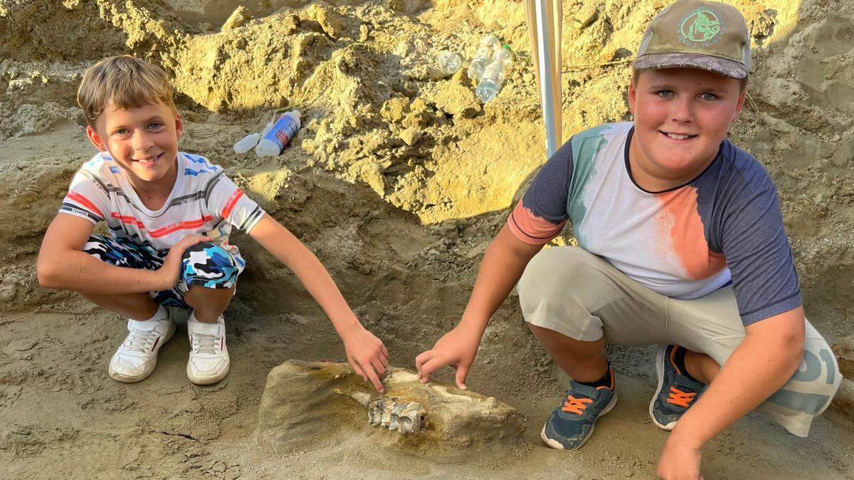 Two brothers spotted a strange bone while fossil hunting in Erding and discovered the remains of two prehistoric elephants, a museum said and photos show.