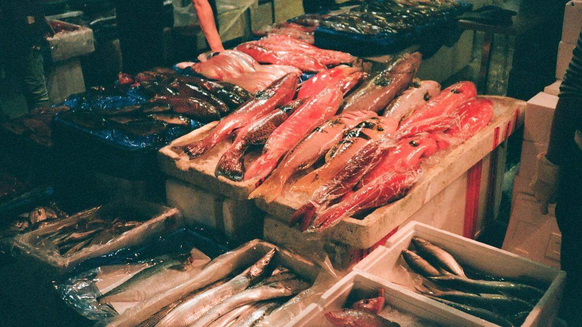 The new species was discovered at Keelung fish market in northern Taiwan, researchers said.