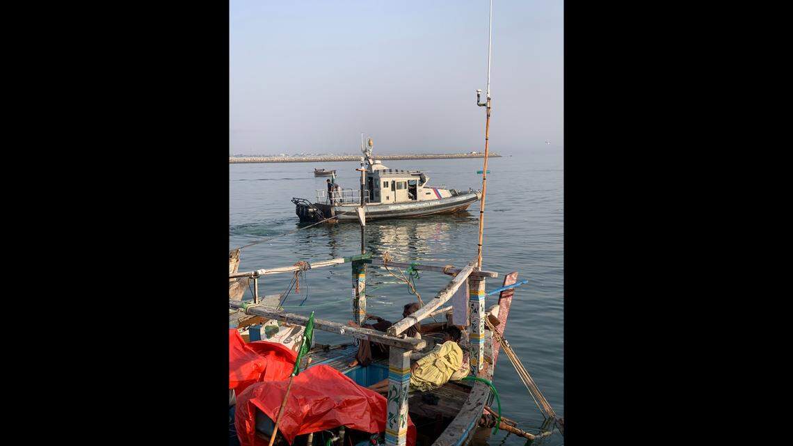 Anglers in Pakistan caught several predators with teeth on their tongues later identified by scientists as two new species, a study said.