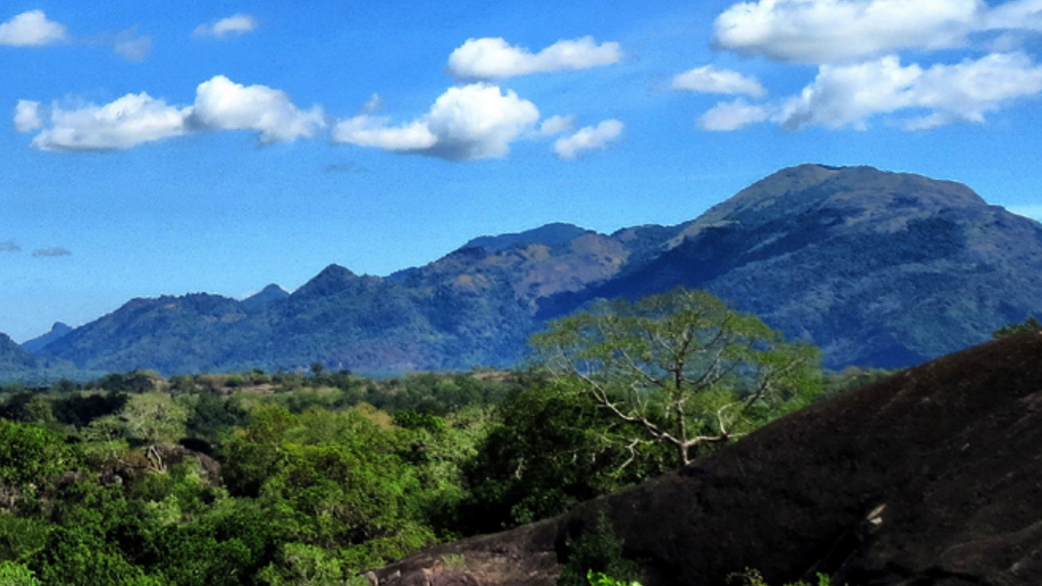 Scientists found a 2-foot-long creature “inflating” its “bright blue” skin on a mountain in Sri Lanka and discovered a new species.