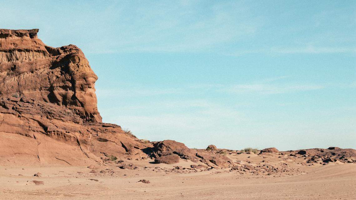 Scientists in Argentina found a “robust” animal hiding in the desert and discovered a new species, a study said. Photo shows a representative area of Neuquén Province.