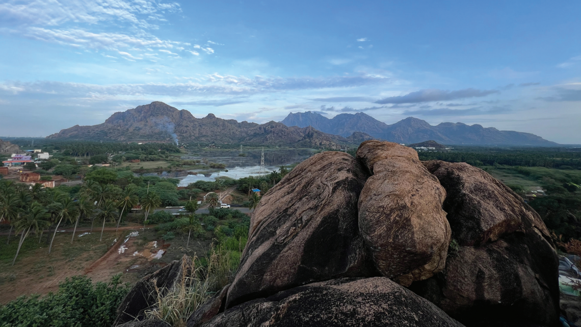 Scientists found a spiky “dwarf”-like creature climbing on rocks in Tamil Nadu and discovered a new species, a study said.