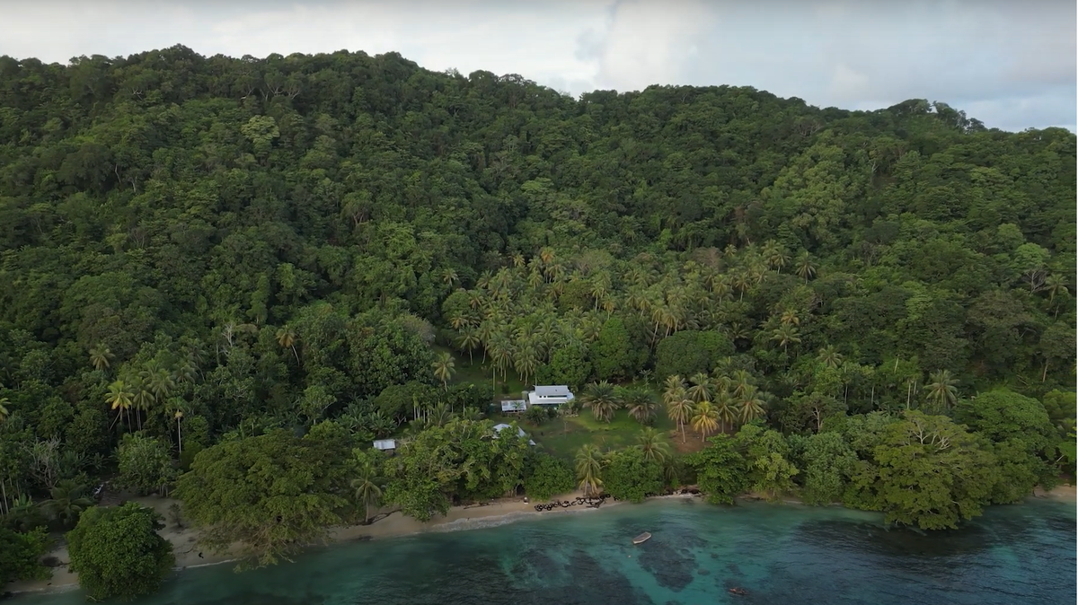 Villagers on an island in Papua New Guinea found a 3-foot-long creature with a black tongue and helped scientists discover a new species.