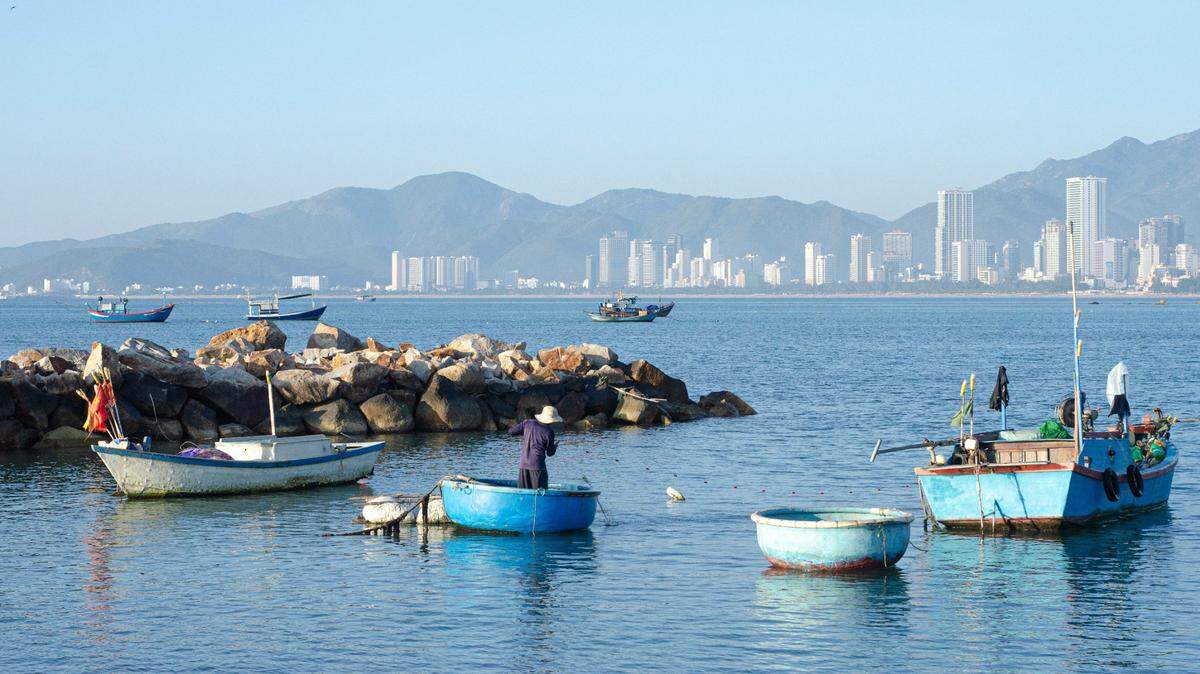 Anglers in Vietnam snagged a “large” sea creature with dozens of teeth later identified as a first-of-its-kind catch for the country.