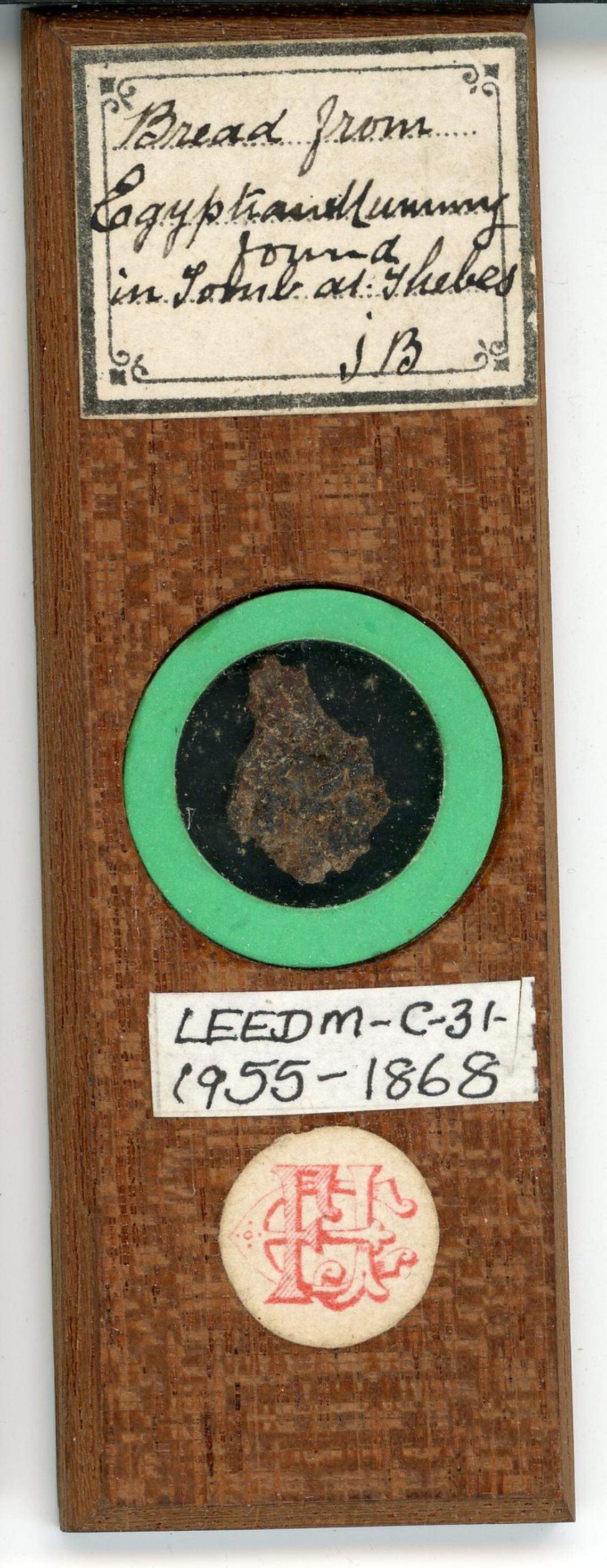 The microscope slide of ancient Egyptian breads crumbs found at Leeds Discovery Centre.