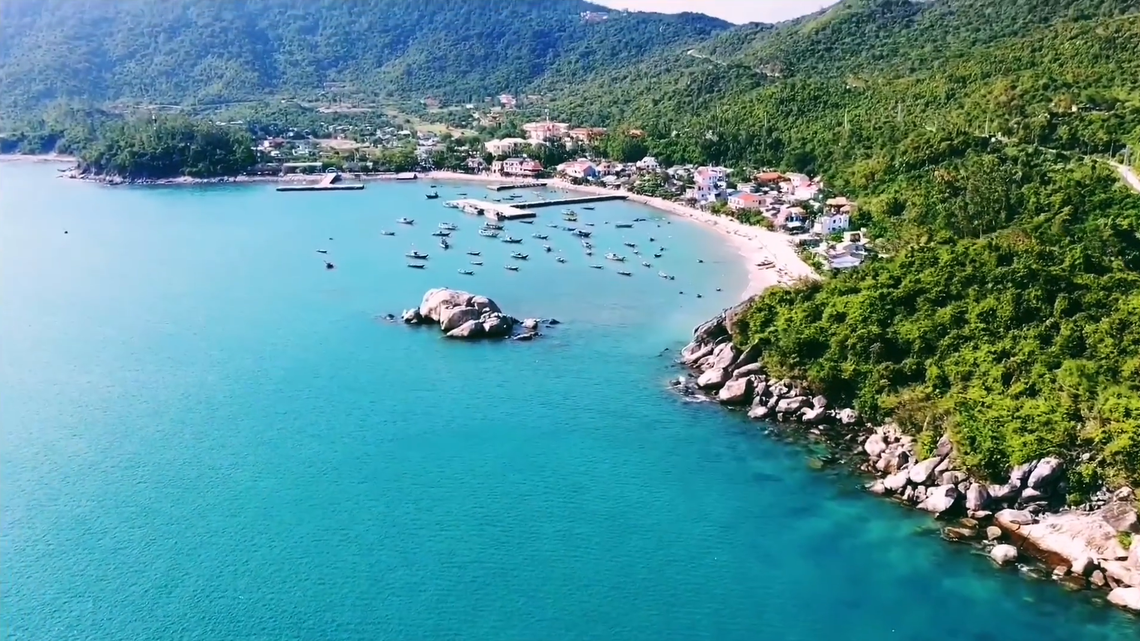 Scientists visited Hon Lao Island and found two critically endangered turtles being kept as pets. Photos show the first-of-its-kind sighting.