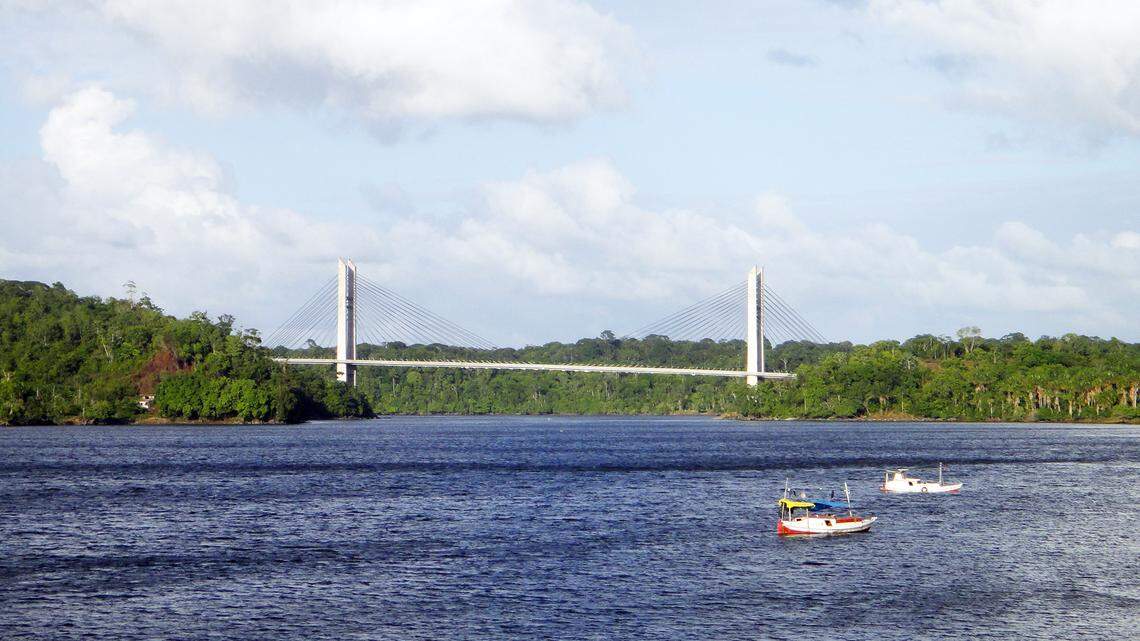 Scientists found a “silvery” river creature in “a remote region” of Brazil and discovered a “potentially rare” new species, a study said.