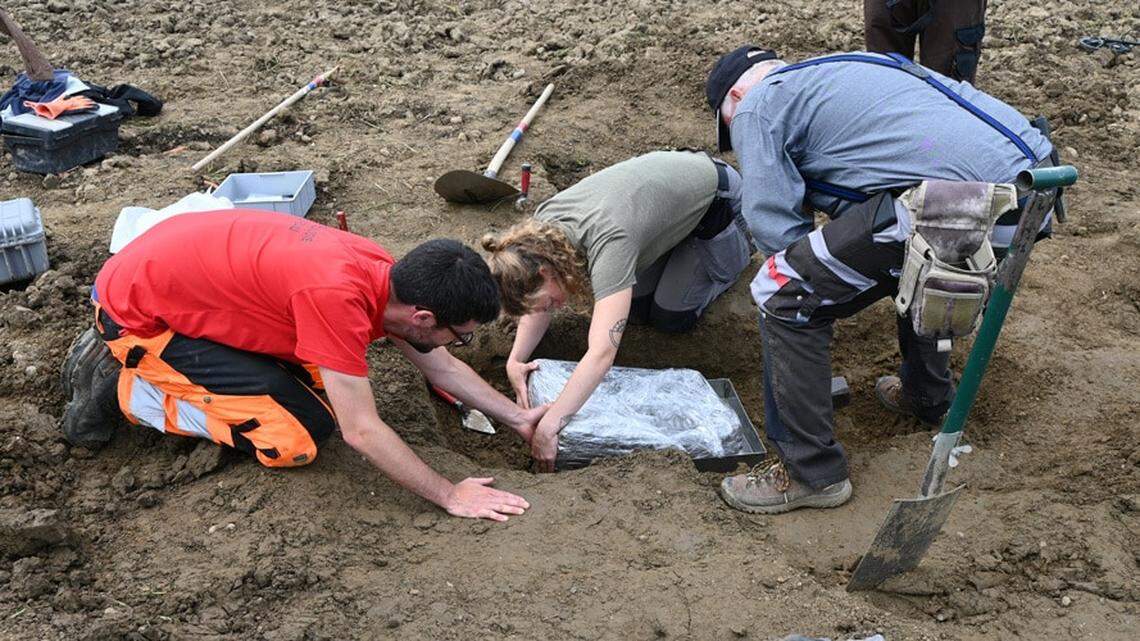 A metal detectorist searching a carrot field in Güttingen stumbled on 3,500-year-old treasure, photos show and archaeologists said.