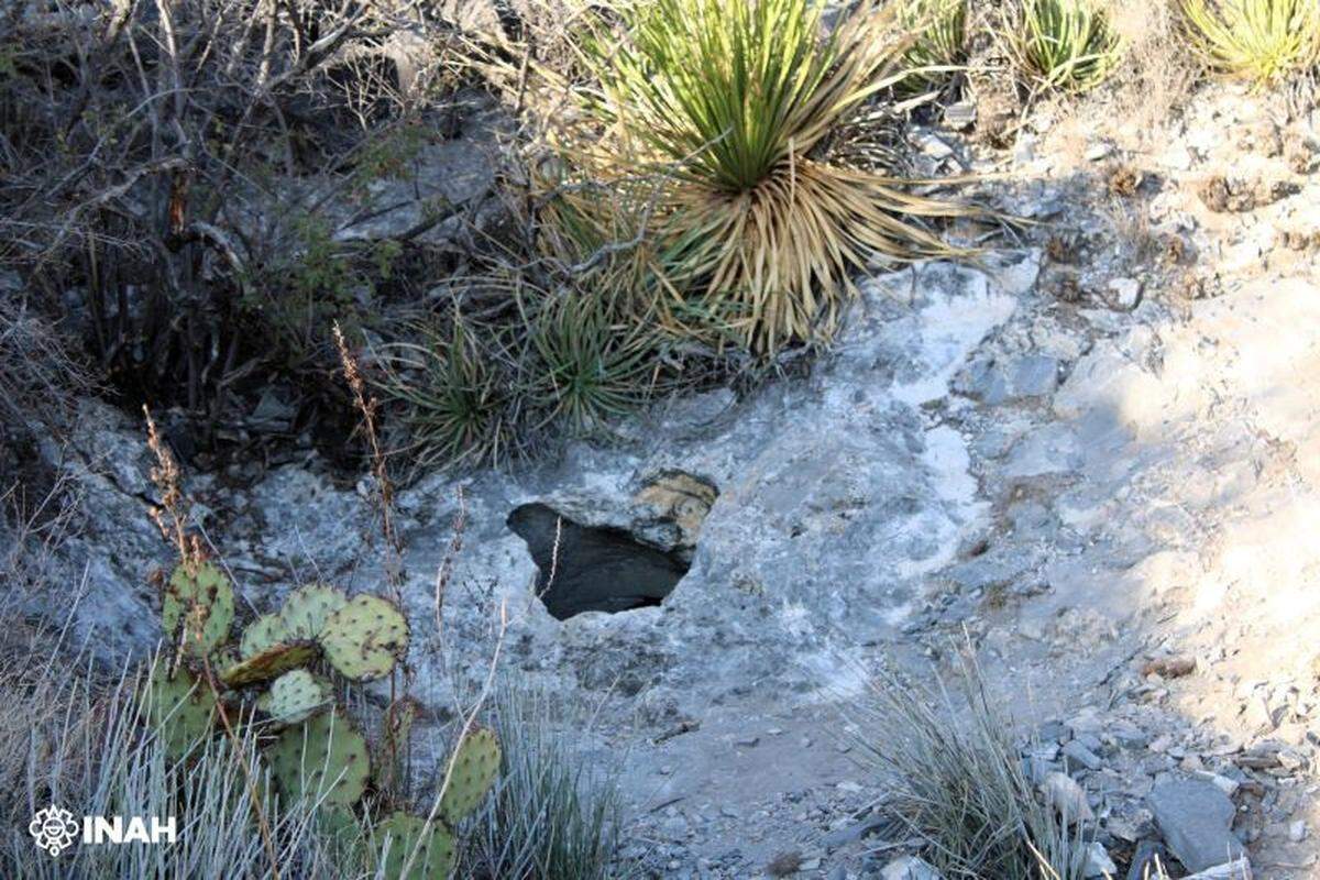 The cave entrance found in Ocampo Natural Protected Area, Coahuila.