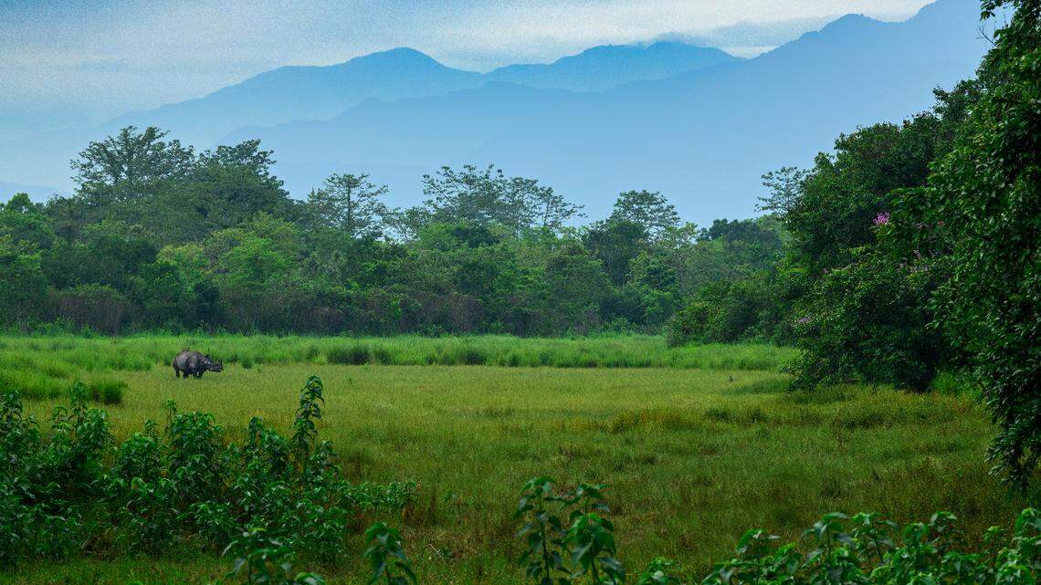 The region also has one of the densest populations of elephants, according to a study.