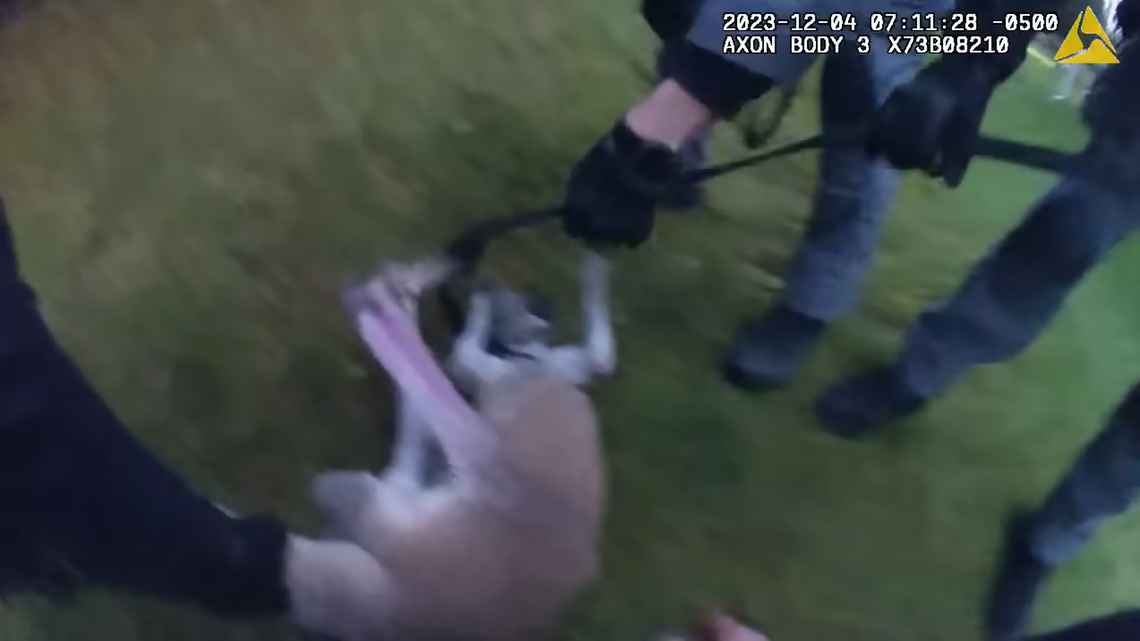 A young kangaroo escaped from a zoo in Ontario, spent three days on the run and fought the police who rescued it, a video shows and officials said.