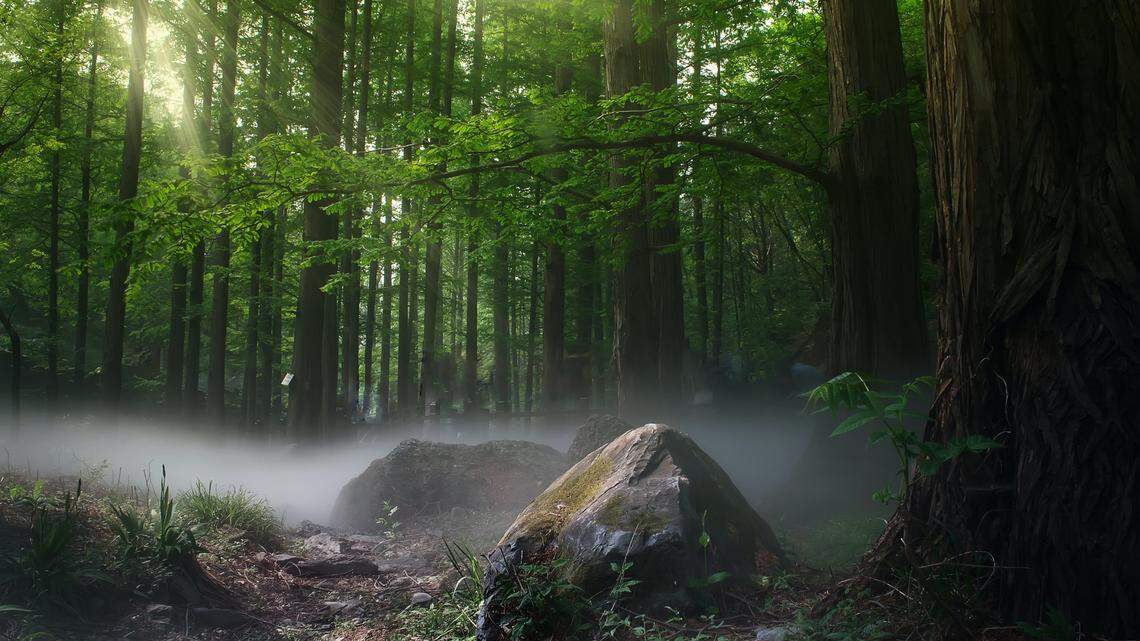 Scientists found a parasitic animal in the forests of China, Indonesia and Vietnam and discovered a new species, a study said.