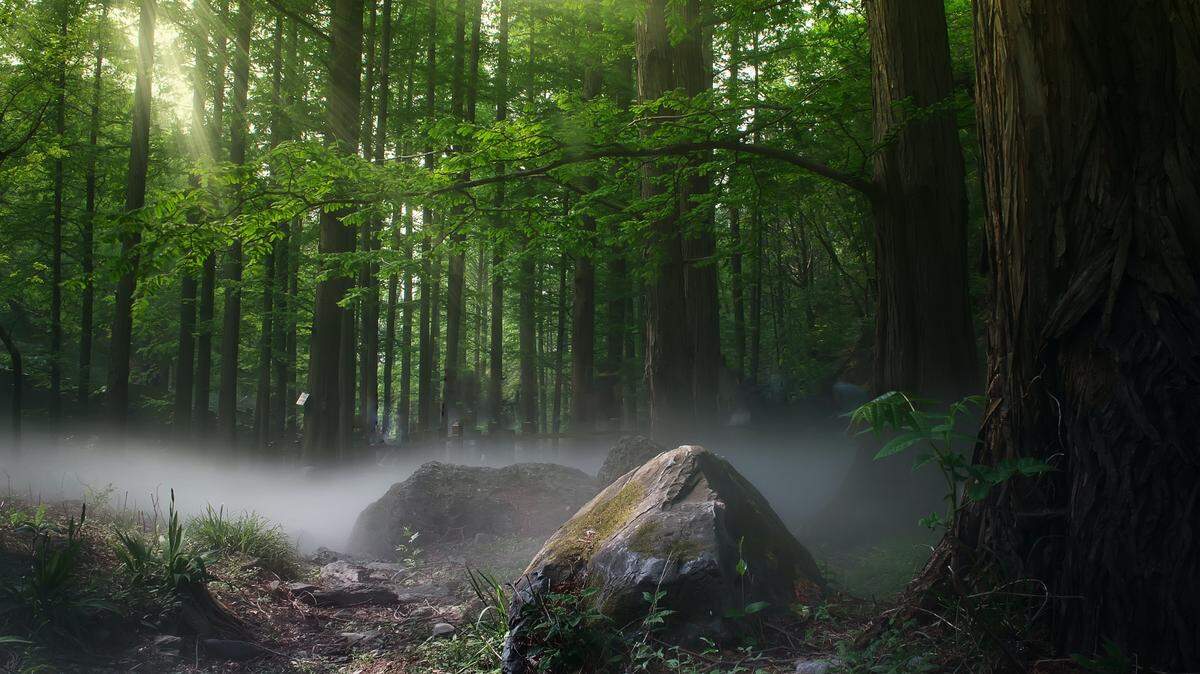 Scientists found a parasitic animal in the forests of China, Indonesia and Vietnam and discovered a new species, a study said.
