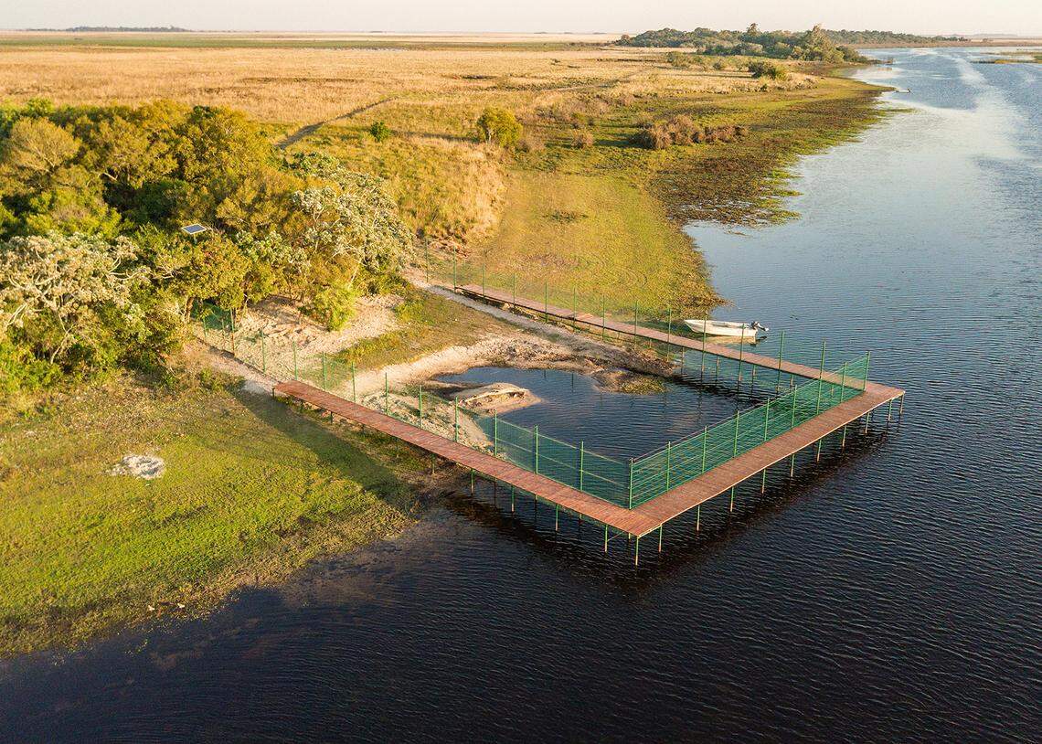 An aerial view shows a semi-aquatic enclosure where giant river otters are being kept.