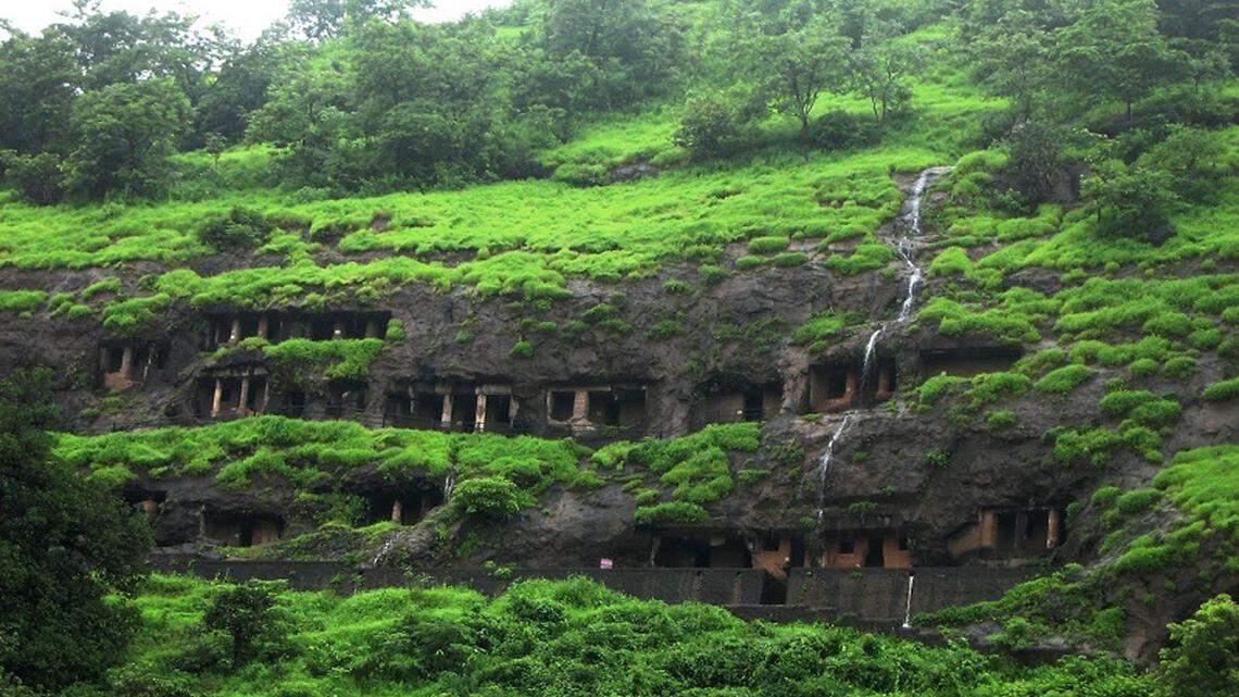 Scientists found a “dwarf”-like animal acting boldly in a cave of Maharashtra and discovered a new species, a study said.