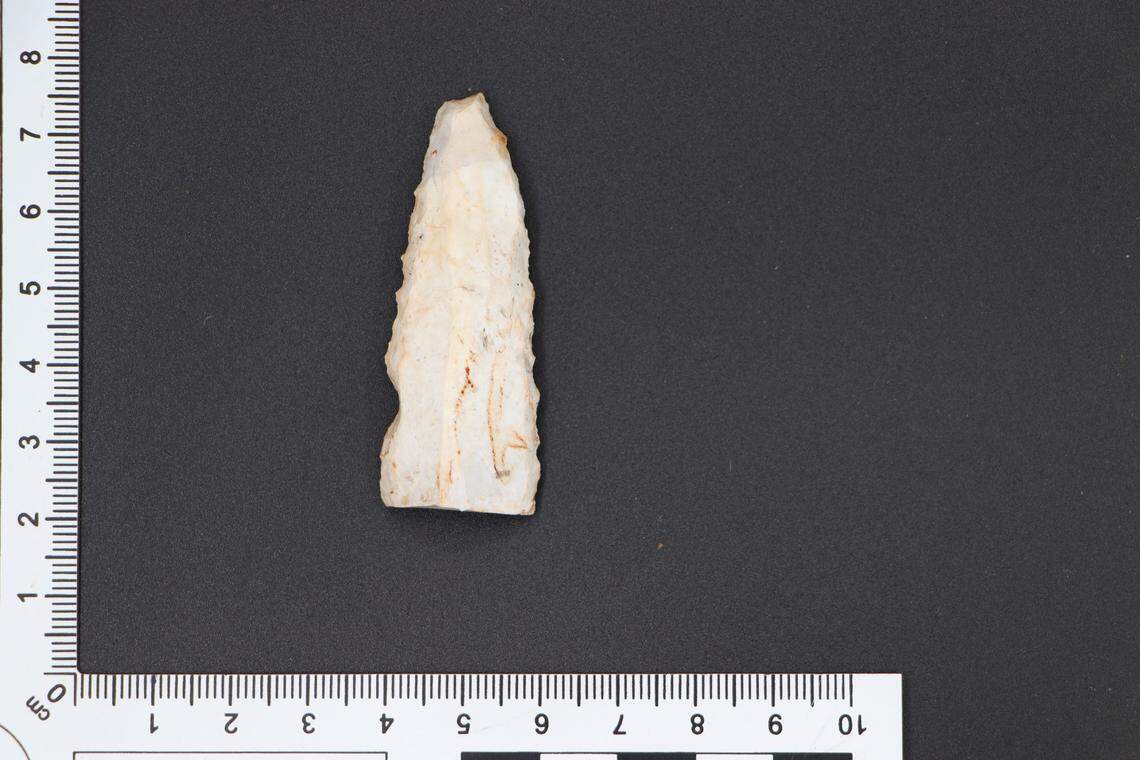 Amateur archaeologists discovered a flint blade dated to the end of the Stone Age in Germany’s Kernmünsterland region.