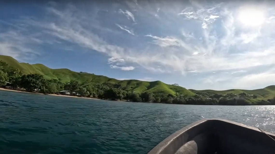 A new species was discovered as it bit down on a researchers hand in Papua New Guinea, study says.