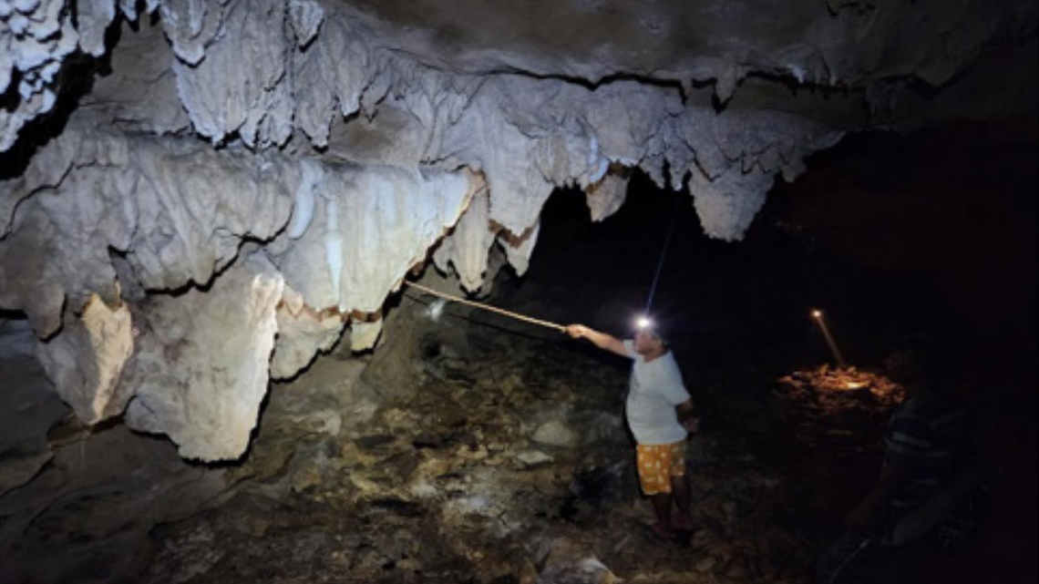 Scientists found a massive crab on Car Nicobar Island, India, for the first time in decades, a study said. Photos show the cave dweller.