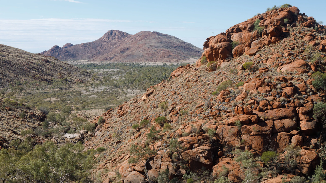 Scientists found a “large” creature with “sharp” claws in a desert of Australia and discovered a new species, a study said.