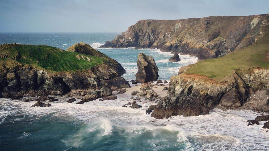 The “rare” and “strange” creatures were spotted off the coast of Cornwall in the U.K., according to wildlife experts.