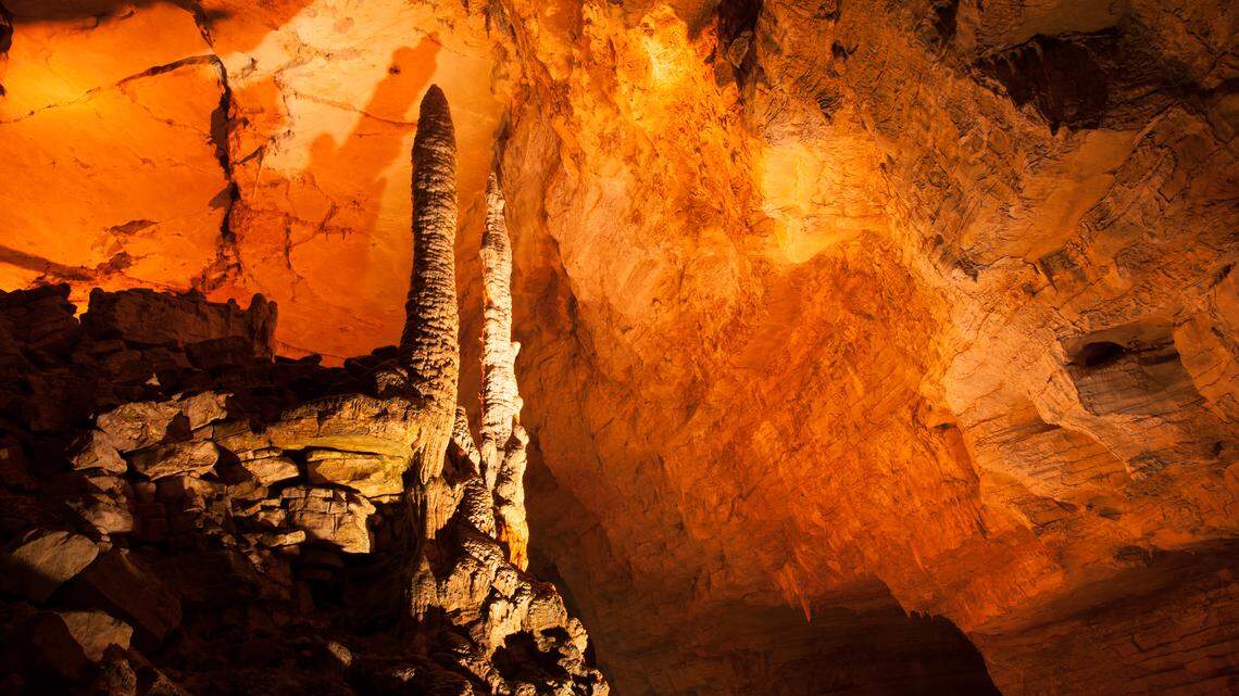 Scientists found a pale creature with “sharp” in a cave in China and discovered a new species, a study said and photo shows. Scientists found a pale creature with “sharp” in a cave in China and discovered a new species, a study said and photo shows.