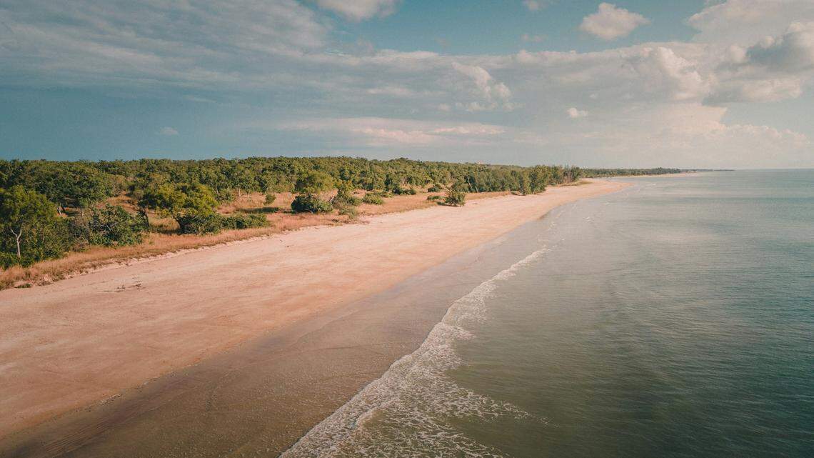 The species is listed as “critically endangered” by the International Union for Conservation of Nature.