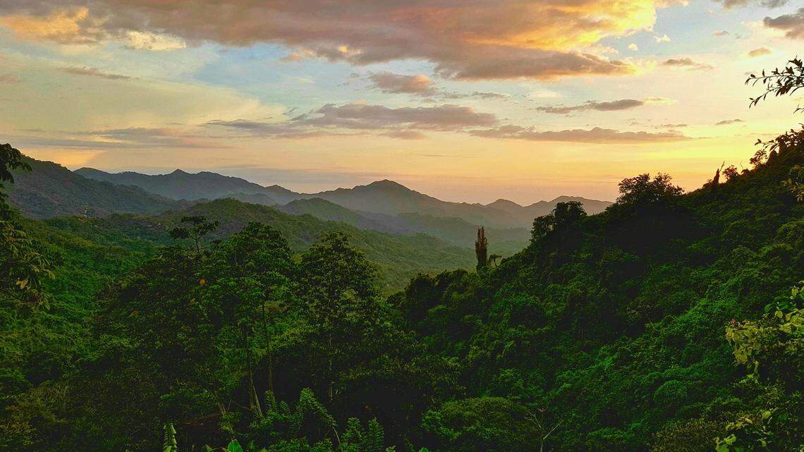 Scientists found a “completely spiny,” 2-foot-long mammal in a forest of Colombia and discovered a new species, a study said.