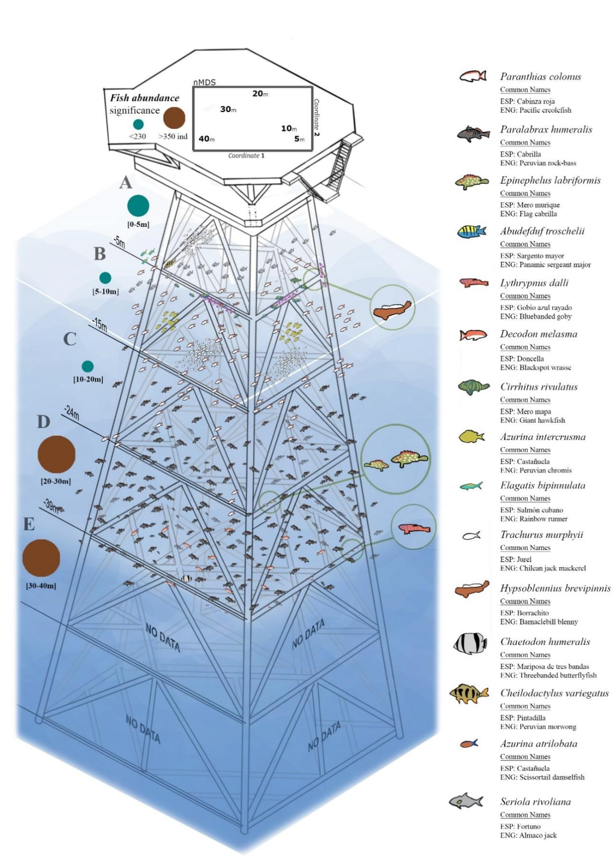 The highest concentration of different species was recorded at depths between 0 and 16 feet, researchers said.