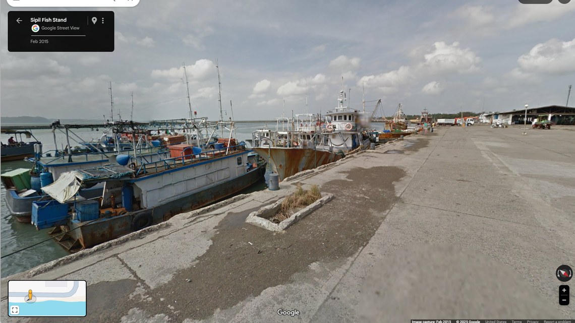 Scientists visited fish markets and ports in Western Visayas to document rays and sharks and found a first-of-its-kind catch, a study said.