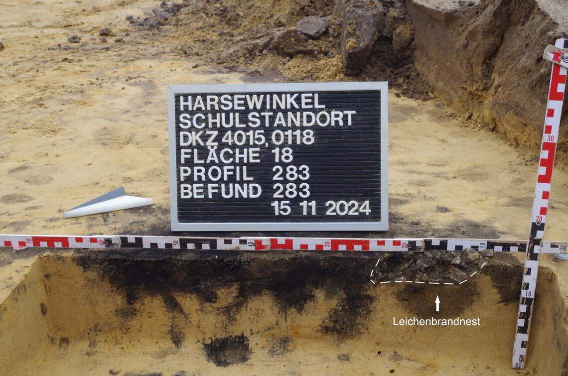 The cremation grave found in Harsewinkel.