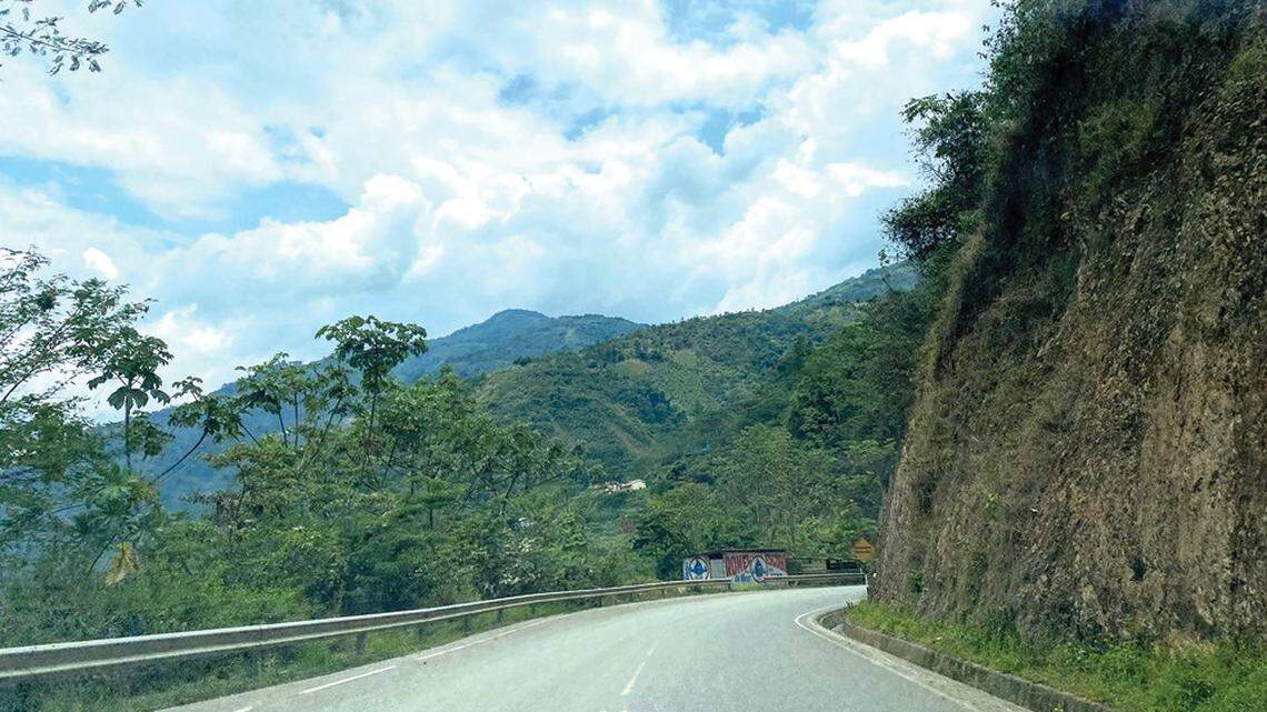 Scientists found a “rubber” animal with “cryptic” looks in the mountain forests of Ayacucho and discovered a new species, a study said.