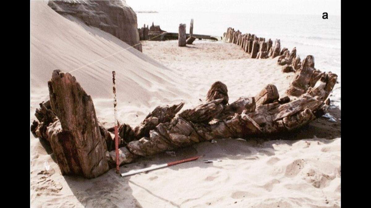Archaeologists excavated a century-old shipwreck near Zaghemarz and found cargo baskets with plant remains, study said and photos show.