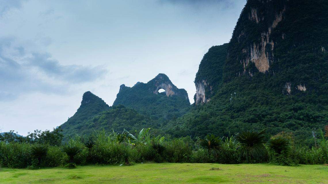 Scientists found a “slender” animal with “large” eyes near a cave and discovered a new species, a study said. Photo shows a representative area of Guangxi.