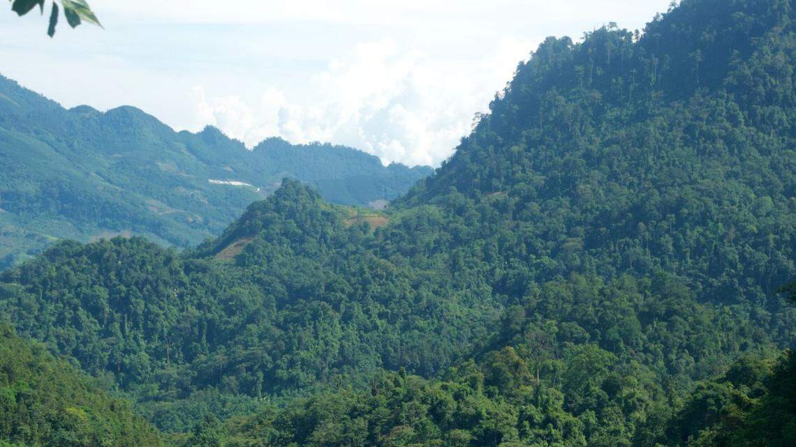 Scientists found a “large” spiky reptile with a pale belly in a rocky forest of Yunnan Province and discovered a new species, a study said.