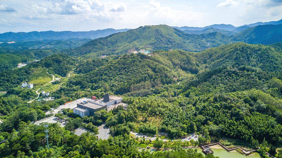 Scientists found a “cryptic” creature with fringed toes on a mountain in Guangxi and discovered a new species, a study said.