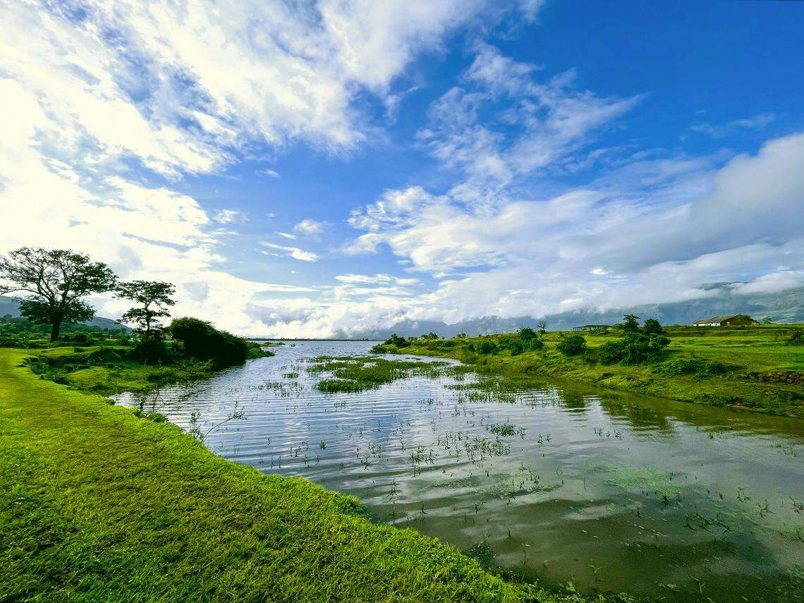 Scientists found a “lean” creature with “diamond-shaped” eyes floating in a pond of India and discovered a new species.