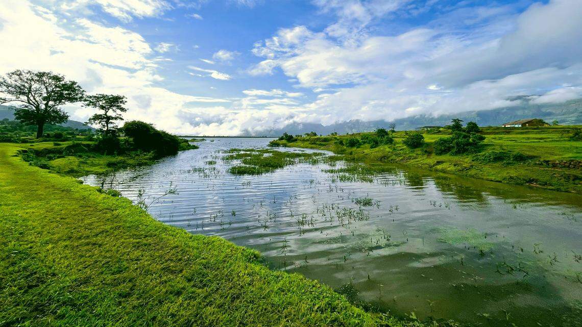 Scientists found a “lean” creature with “diamond-shaped” eyes floating in a pond of India and discovered a new species.