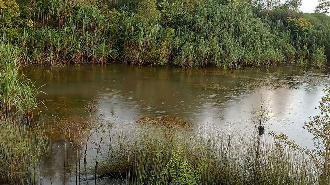 Scientists on an Indonesia island found a “giant” creature caught in a trap, the area’s first sighting of an endangered species, photos show.