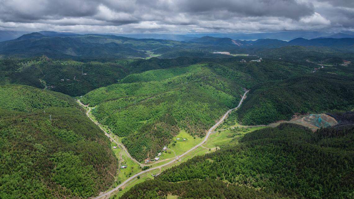 Scientists found a “secretive” creature with “enlarged” teeth in a forest of China and discovered a new species, a study said.
