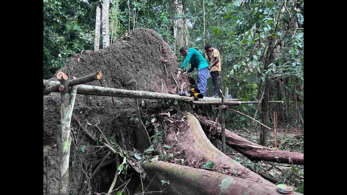 The seven urns, two of which were very large, have characteristics never before seen in artifacts from known indigenous cultures in the region, experts said.