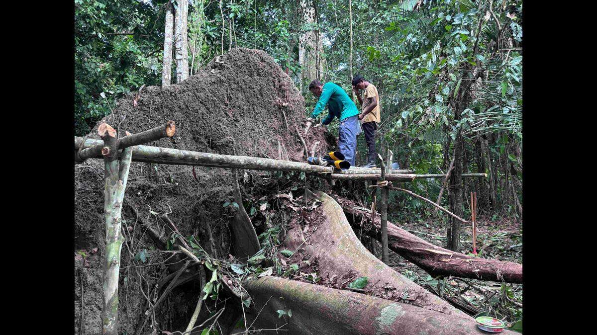 The seven urns, two of which were very large, have characteristics never before seen in artifacts from known indigenous cultures in the region, experts said.