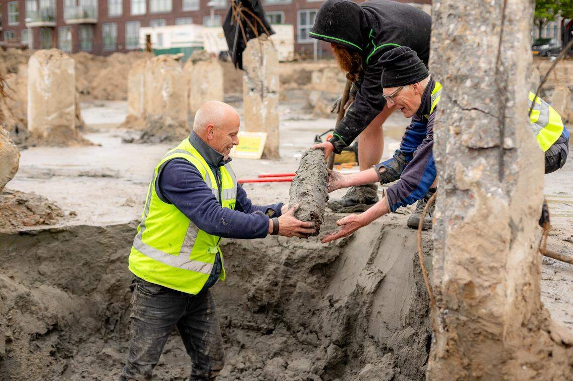 Archaeologists and volunteers remove one of the 1,900-year-old wooden posts.