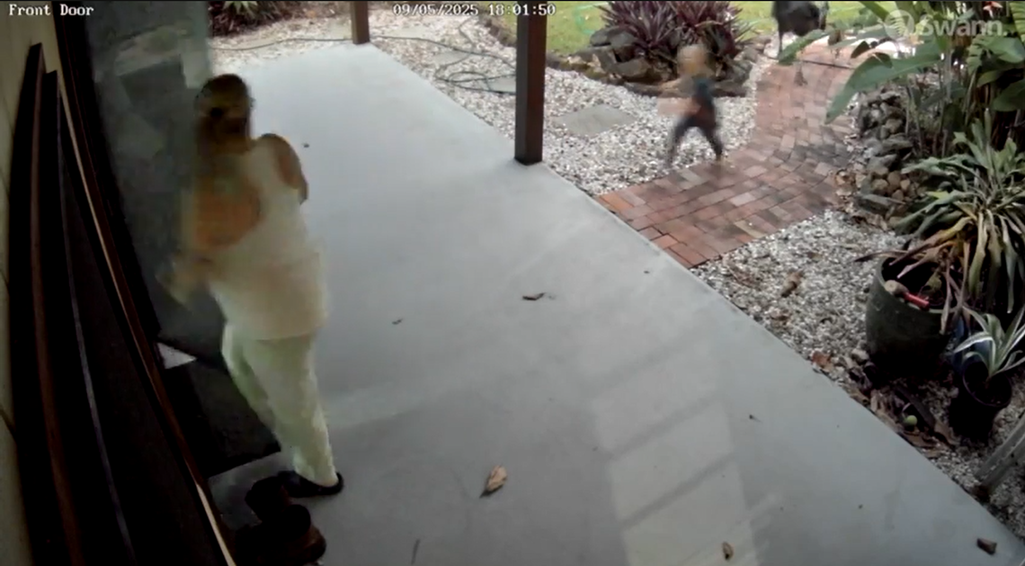 A family in Australia had a “close encounter” with cassowary birds searching for food, a video shows. The incident prompted warnings.