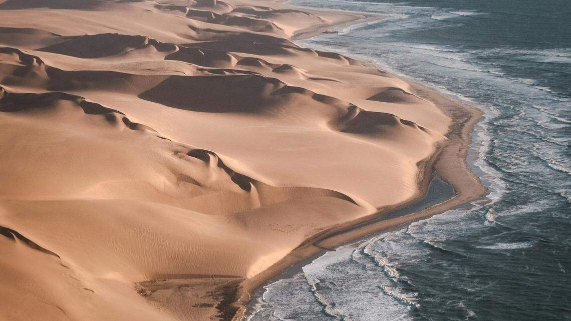 A new species of “barking” gecko was discovered in the interdune region of Namibia’s Sand Sea, according to a study.