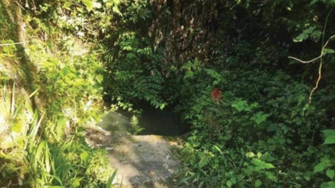 Scientists found a “fire-bellied” creature in a waterhole of the Huanggangshan Mountains and discovered a new species, a study said.