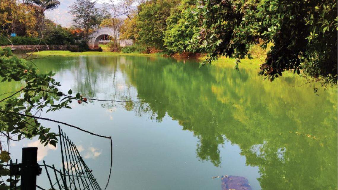 Scientists caught a scaly pond animal with a “heart-shaped” mark at a park in Yunnan and discovered a new species, a study said.