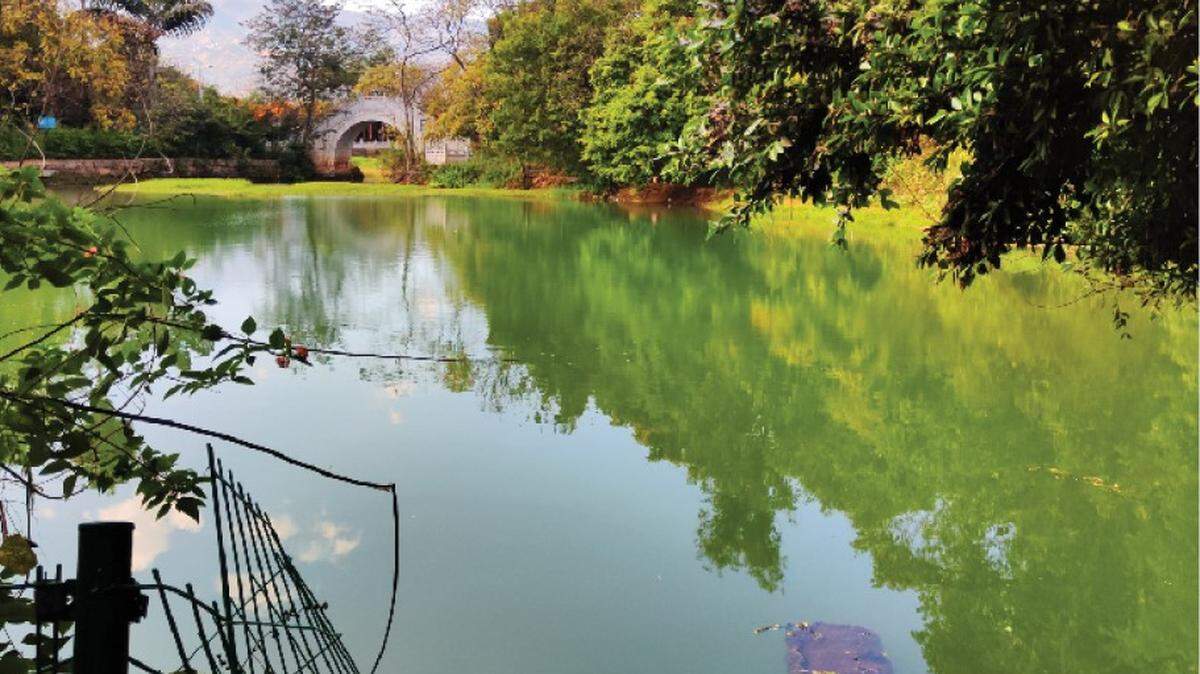 Scientists caught a scaly pond animal with a “heart-shaped” mark at a park in Yunnan and discovered a new species, a study said.