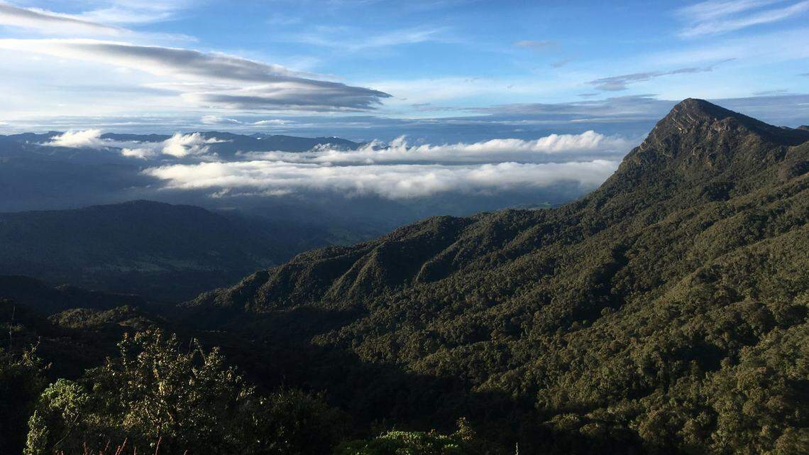 Scientists found a 2-foot-long animal with red eyes in the mountains and discovered a new species, a study said. Photo shows a representative area of Colombia.