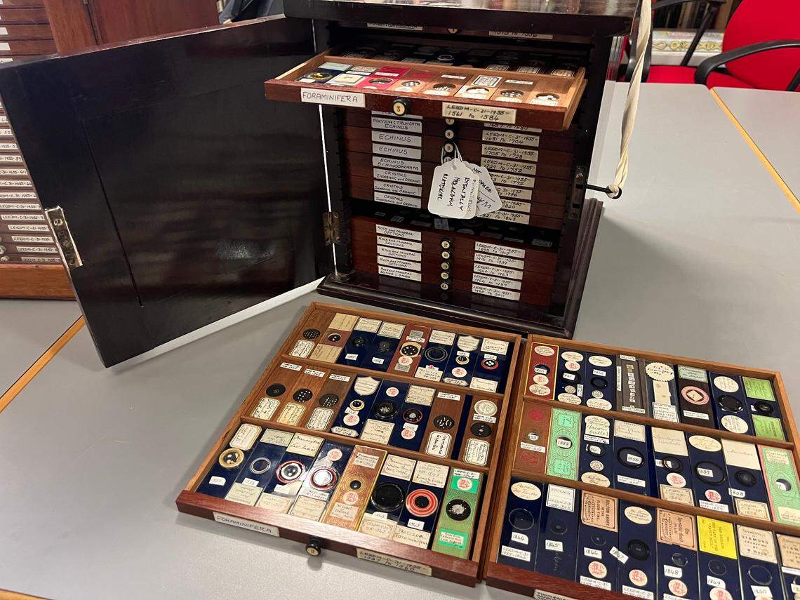 Some of the uncatalogued microscope slides at the Leeds Discovery Centre.